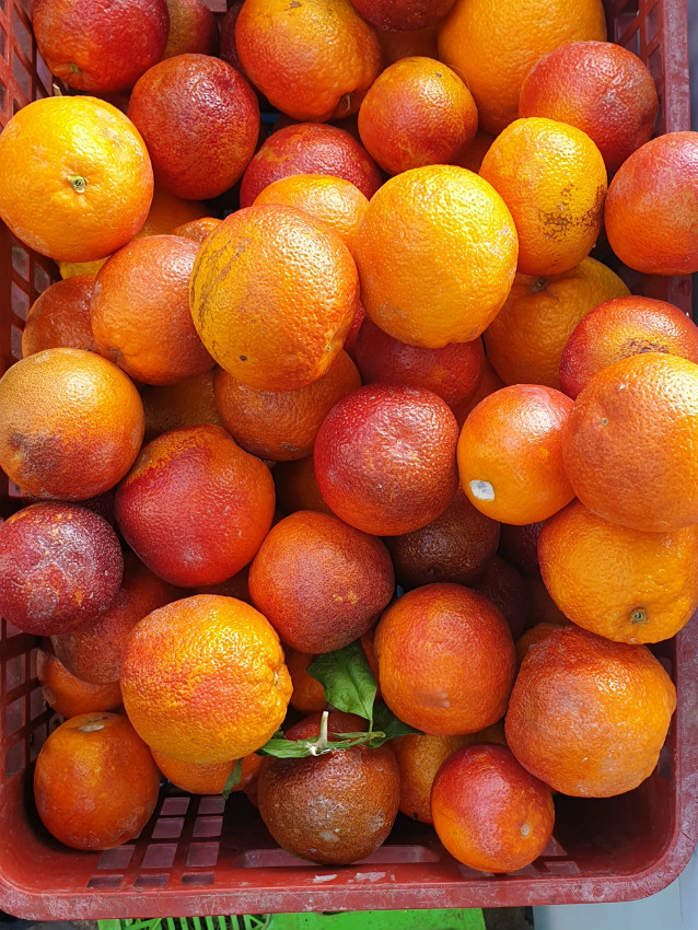 מושבוצ, תפוזי דם